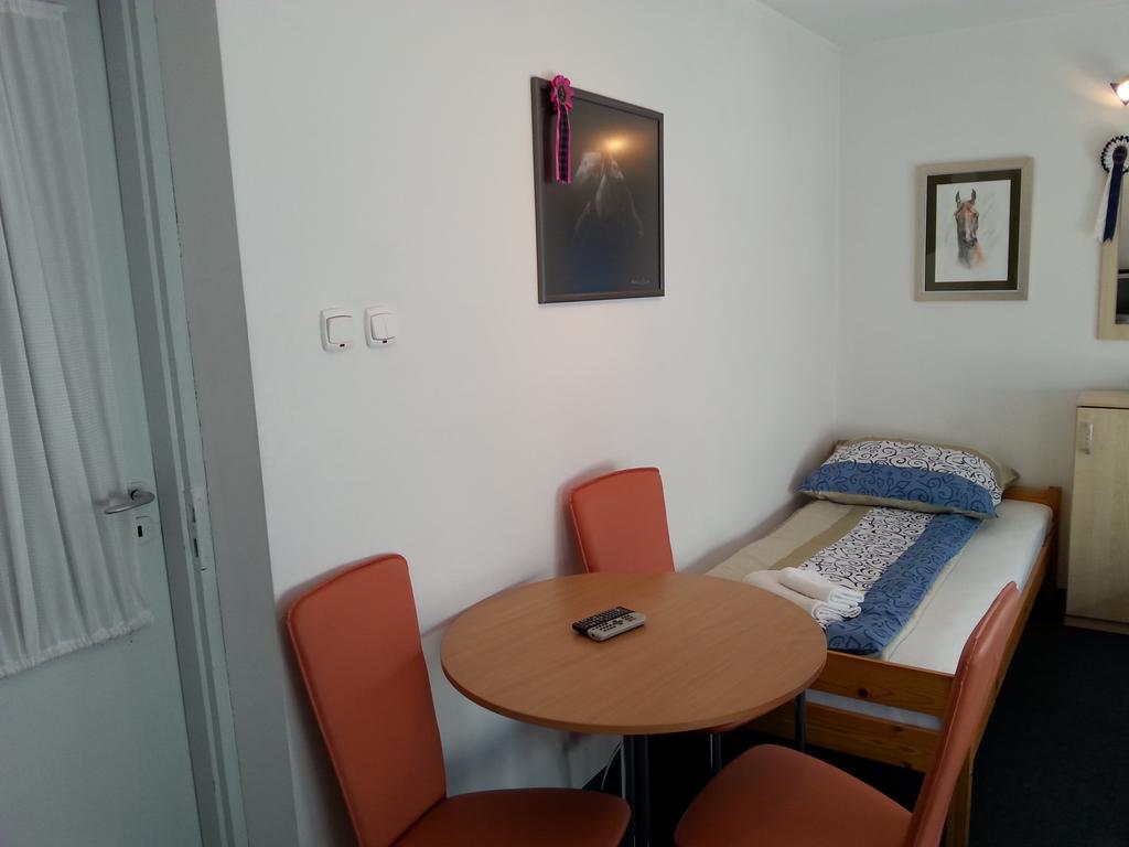 Noclegi Przy Stadninie Janów Podlaski Szoba fotó
